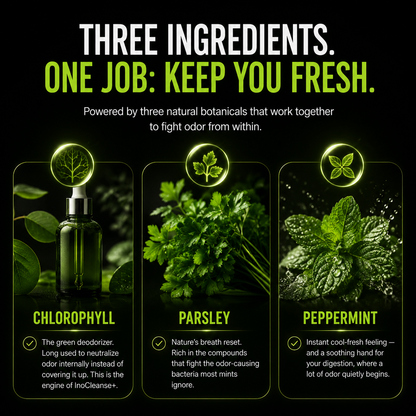 InoCleanse+ | Chlorophyll Gummies - Fresh Breath & Body Odor Control